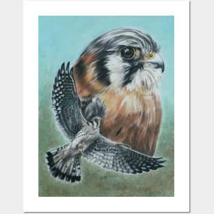 American Kestrel Posters and Art